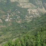 ریاب کلی